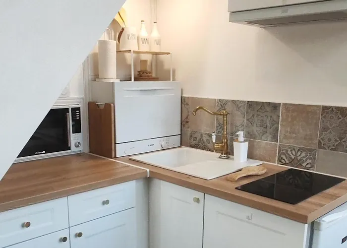 Bulle D'antan En Coeur De - Monument Classe Historique - Grand Jaccuzi アパート *